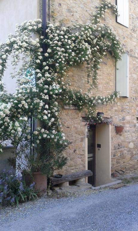 Agriturismo Il Gelso Traversetolo エクステリア 写真