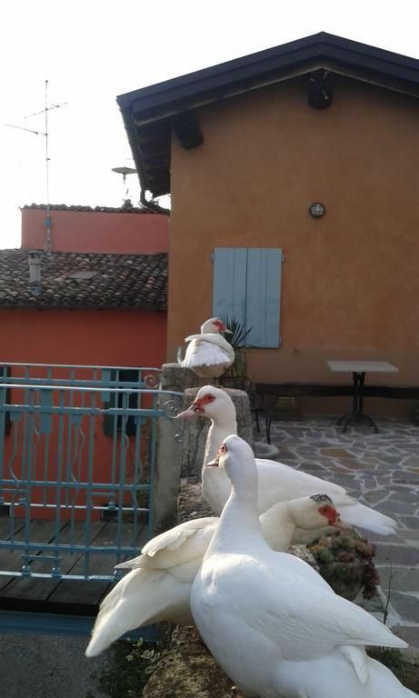 Agriturismo Il Gelso Traversetolo エクステリア 写真